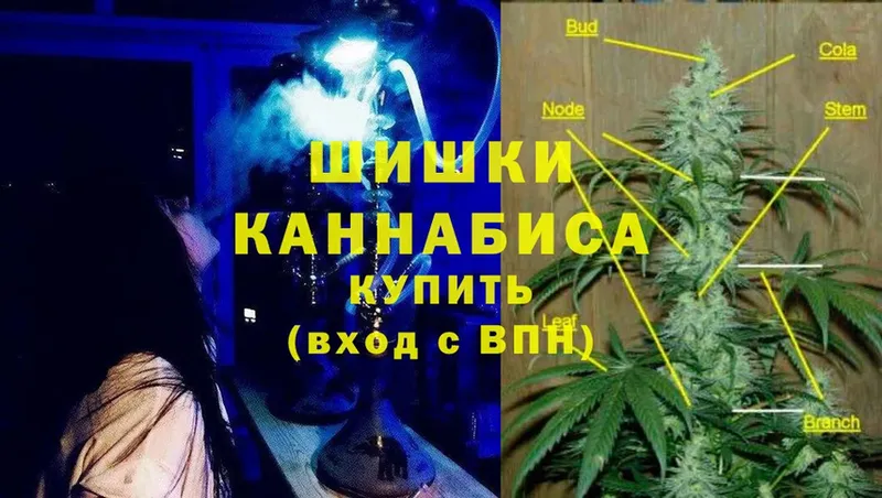 Бошки марихуана OG Kush  наркотики  Окуловка 